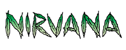 Nirvana Seeds Nirvana Seeds