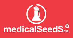 Medical Seeds Medical Seeds